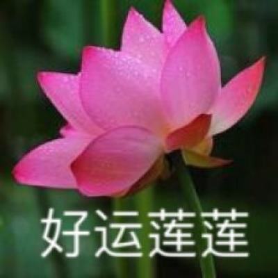 独家视频丨习近平出席上海合作组织成员国领导人迎宾仪式